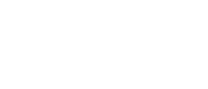 Gemeente Hoorn