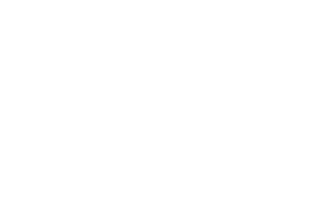 Gemeente Haarlem